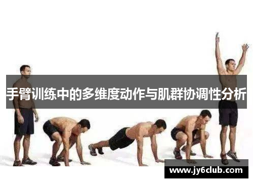 手臂训练中的多维度动作与肌群协调性分析